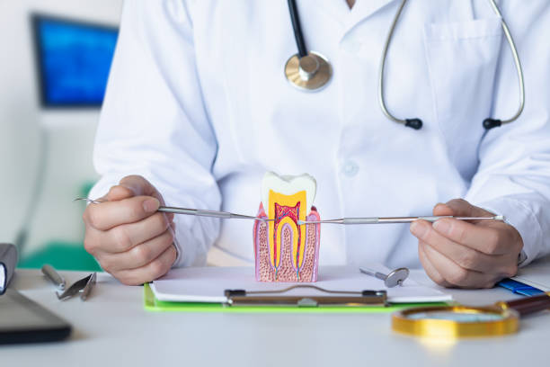 Best Emergency Root Canal Therapy in Danville, PA
